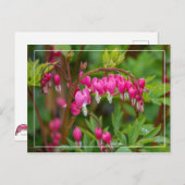 雨の日の出血ハートクローズアップ ポストカード (正面/裏面)