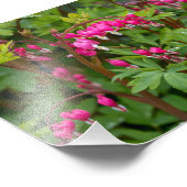 雨の日の出血ハート フォトプリント            (角)