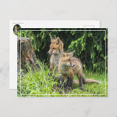 雨の日の友だち ポストカード (正面/裏面)