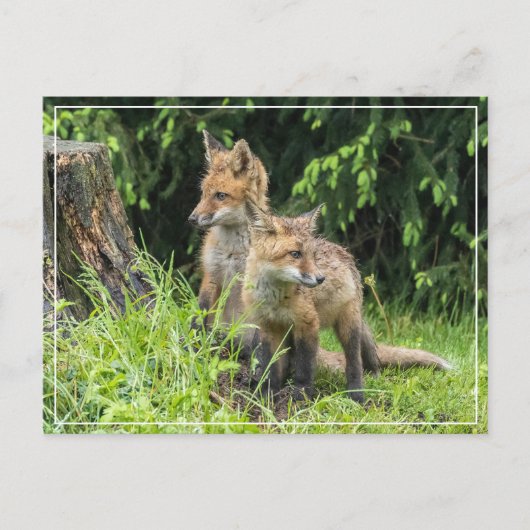 雨の日の友だち ポストカード (正面)