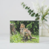 雨の日の友だち ポストカード (スタンド正面)