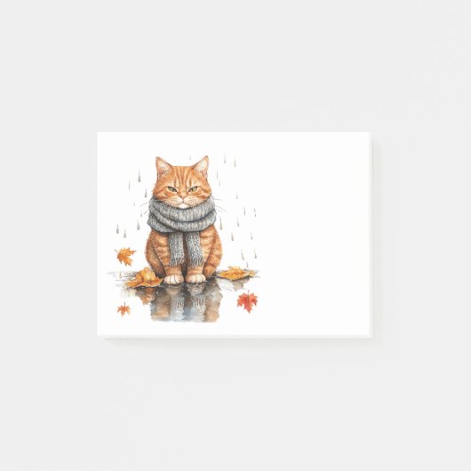 雨の日の怒ったオレンジ色の猫 ポストイット (正面)