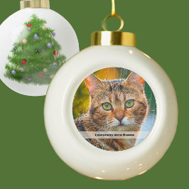 雨の日の猫の写真  セラミックボールオーナメント