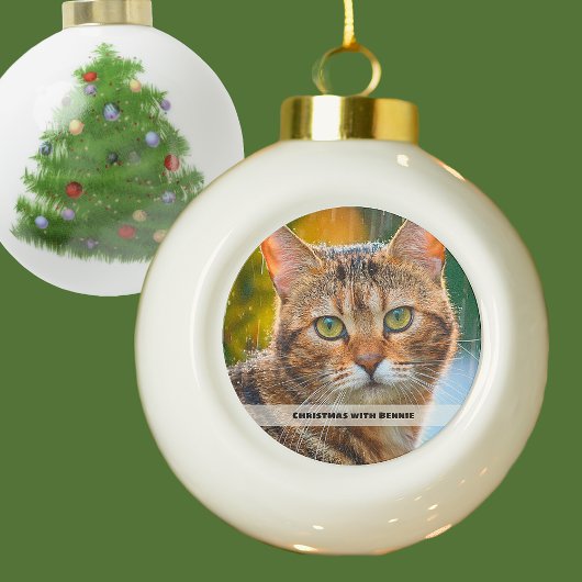 雨の日の猫の写真  セラミックボールオーナメント