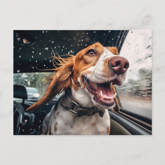 雨の日の車の中の興奮した犬 アートプリント ポストカード (正面)