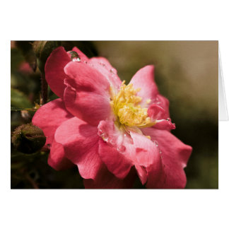 雨の日は上がりました