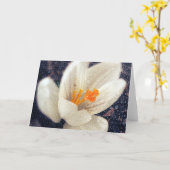 雨の日クロッカスフラワー カード (黄色い花)