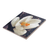 雨の日クロッカス タイル (側面)