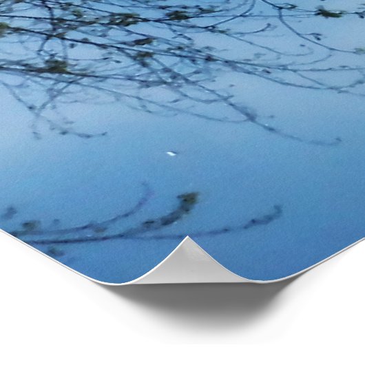 雨の日差し ポスター (角)