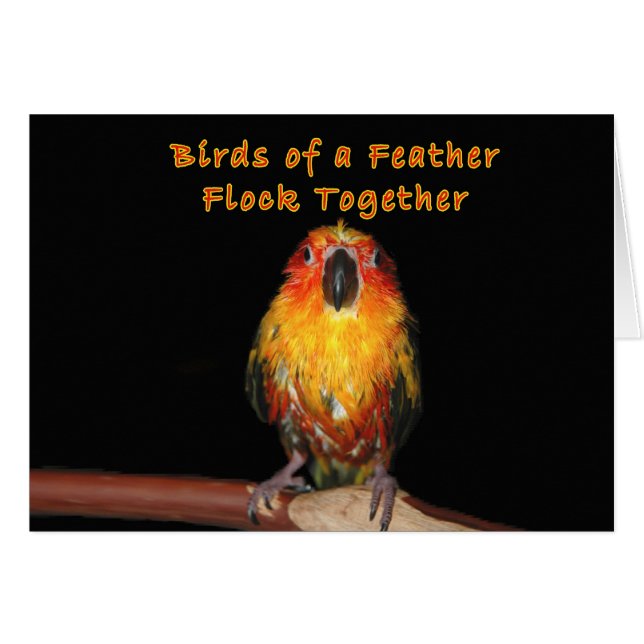 雨の日 (正面横)