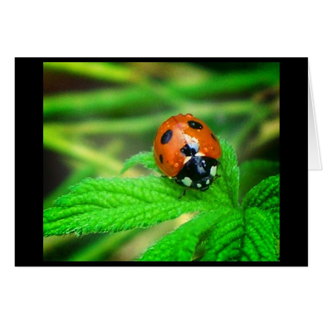 雨の日 (正面横)