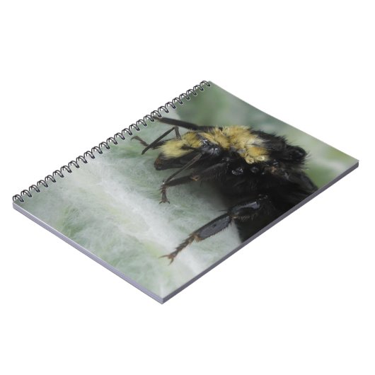 雨の日 ノートブック (左側)