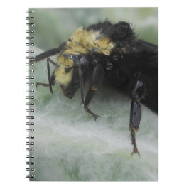 雨の日 ノートブック