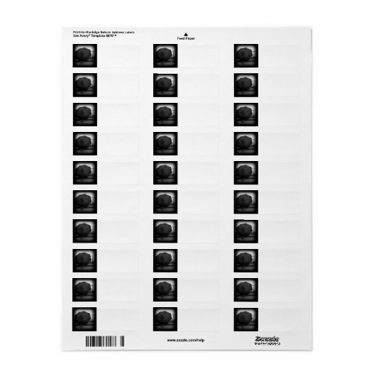 雨の日 ラベル (フルシート)