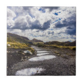 雨の日Torres Del Paine NP タイル (正面)