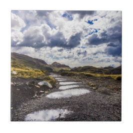 雨の日Torres Del Paine NP タイル