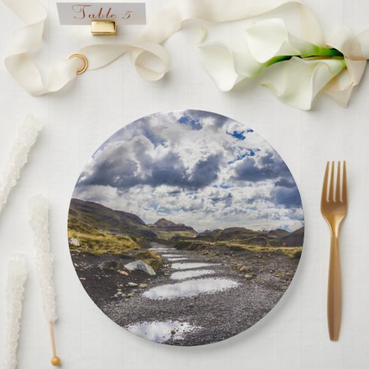 雨の日Torres Del Paine NP ペーパープレート (ウェディング)