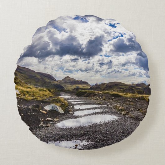 雨の日Torres Del Paine NP ラウンドクッション (正面)