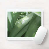 雨の春 マウスパッド (マウス)