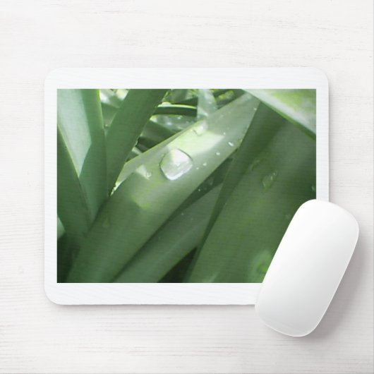 雨の春 マウスパッド (マウス)