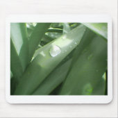 雨の春 マウスパッド (正面)