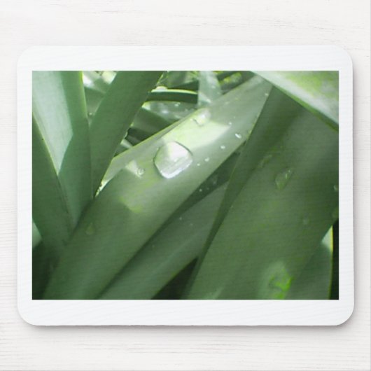 雨の春 マウスパッド (正面)