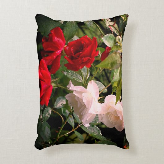 雨の濡れた赤と白バラ アクセントクッション (正面(垂直))