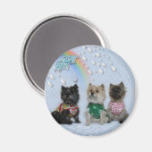 雨の磁石にケアンテリア マグネット (正面/裏面)