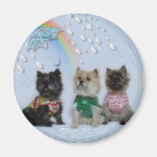 雨の磁石にケアンテリア マグネット (正面)