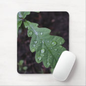 雨の緑のカシの葉 マウスパッド (マウス)