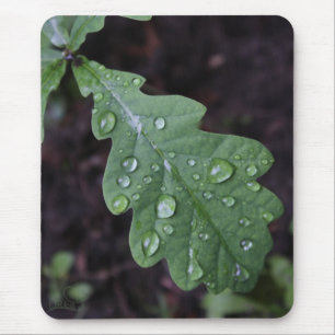雨の緑のカシの葉 マウスパッド