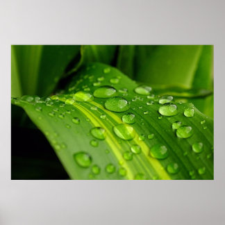 雨の色… ポスター