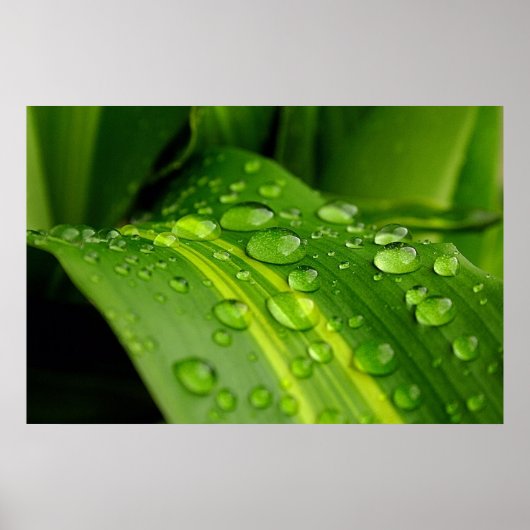 雨の色… ポスター (正面)