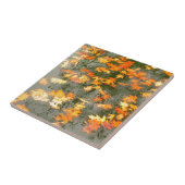 雨の落ちたな葉 タイル (側面)