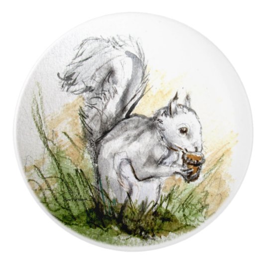 雨の遠くに日のためにスクイレル。.... セラミックノブ (正面)