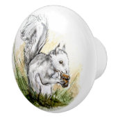 雨の遠くに日のためにスクイレル。.... セラミックノブ (右)