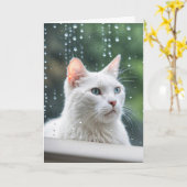 雨の降る窓の白い猫が元気になる カード (黄色い花)