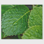 雨の雨滴の水滴葉の雨 ラッピングペーパー (フラット)