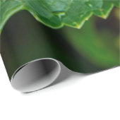 雨の雨滴の水滴葉の雨 ラッピングペーパー (ロールコーナー)