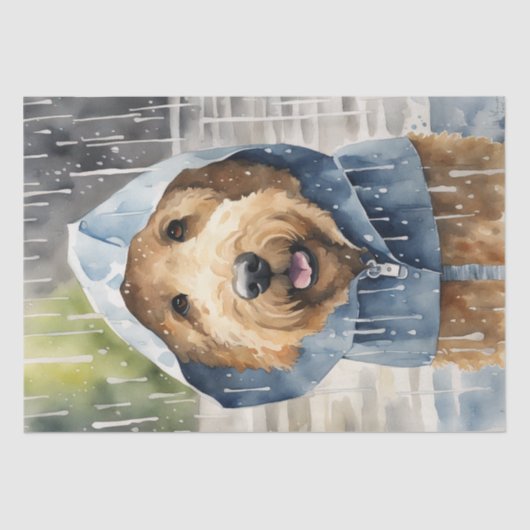 雨の黄金のドードルの冒険：デコパージュ 薄葉紙 (正面)