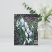 雨はがき内の雪だるま ポストカード (スタンド正面)