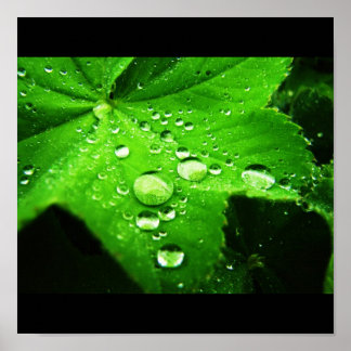 雨を降らせる ポスター