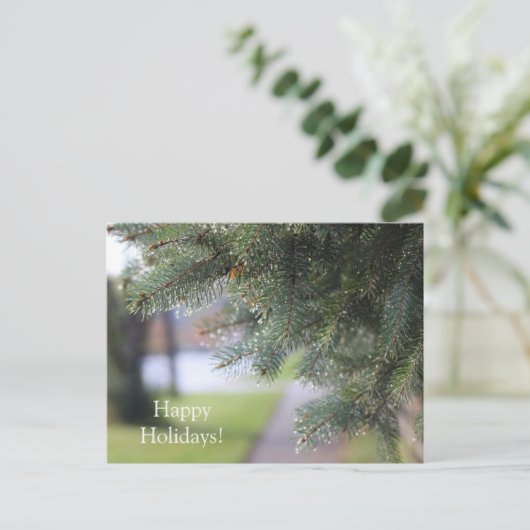 雨カスタマイズ滴が飾られた常緑樹の枝 ポストカード (スタンド正面)