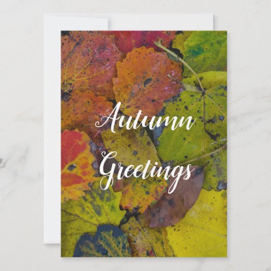 雨カラフル葉後 カード (正面)