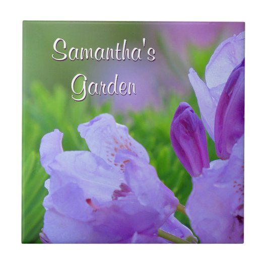 雨パーソナライズな庭の後のシャクナゲ タイル (正面)