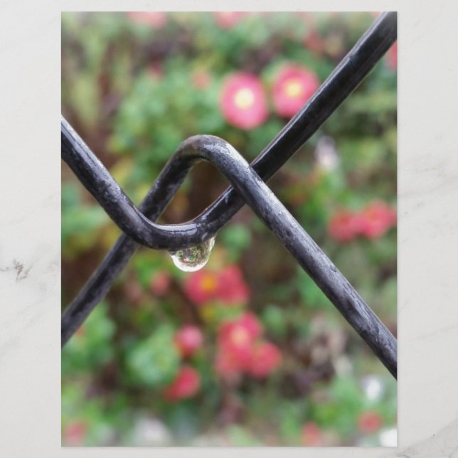 雨一滴 (正面)