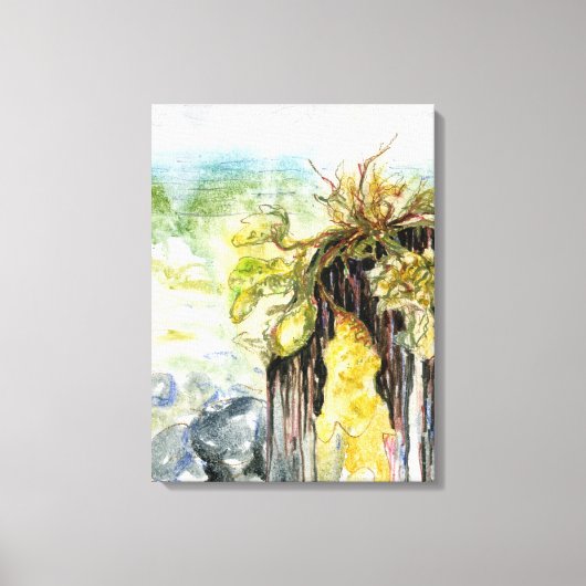 雨下りの海藻・消えるビーチ キャンバスプリント (正面)