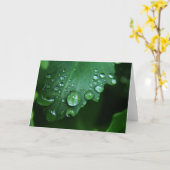 雨低下のブランクのメッセージカード カード (黄色い花)