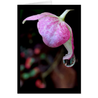 雨低下の空白のなカードが付いているピンクのアジサイの花