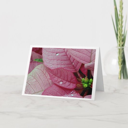 雨低下 シーズンカード (正面)